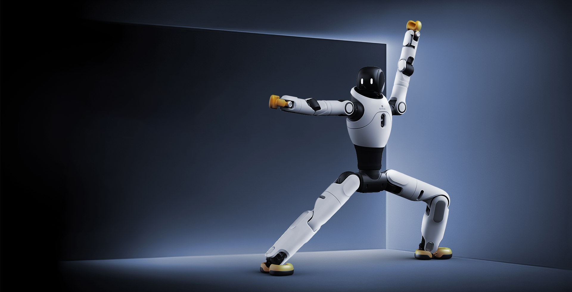 350VIP浦京灵犀 X2